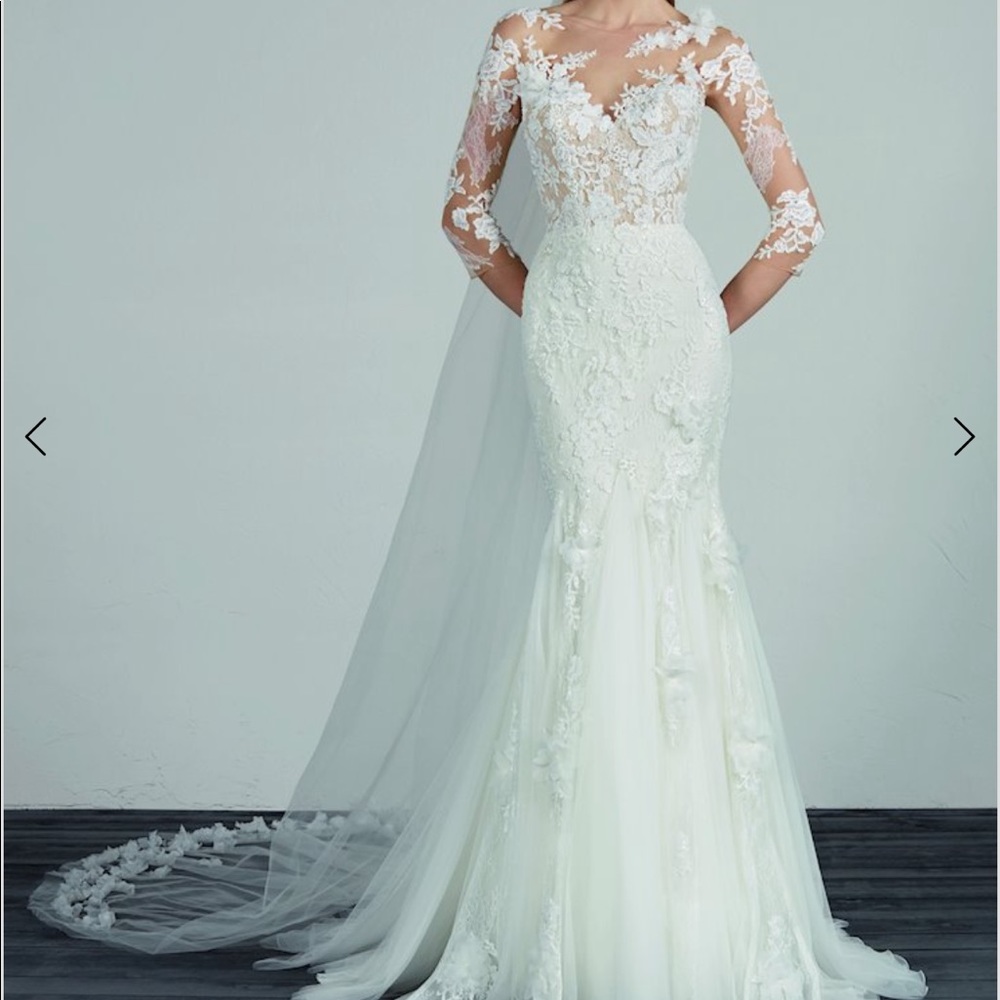 Pronovias Maden Wedding Dress